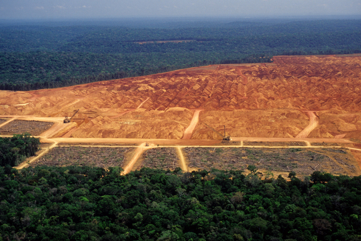 The Environmental Impact of Leasing Public Land