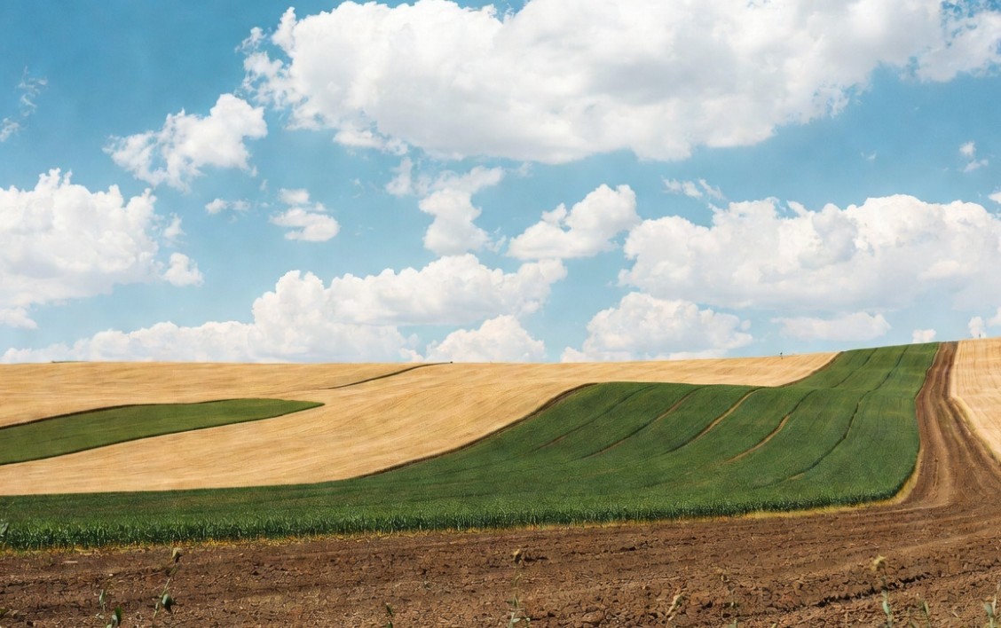 Seller Retains Mineral Rights: Essential Insights for Property Deals
